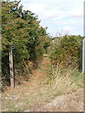 TM3775 : Footpath to the B1117 Walpole Road by Geographer