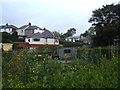 Allotments, shed and houses