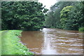 The River Lossie at its most threatening