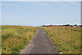 Thanet Coast Path SE of Foreness Point