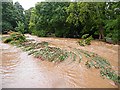 Fochabers Floods 2009 (3)