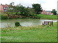 The pond at Fridaythorpe