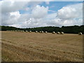 SE8646 : Harvested field, Londsborough by David Brown