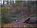 Footbridge over the stream Eggesford Forest