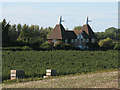 Oast houses on Crouch Lane