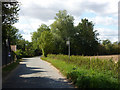 Country lane with bus stop sign