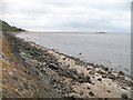 Beach east of Burntisland