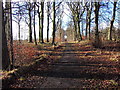 Baillieston, the Calderbank Avenue