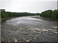 River Ribble