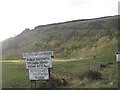 Signs, forest edge