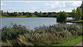 Furzton Lake, Milton Keynes.