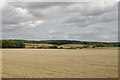 Greensand Ridge south of Lidlington