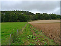 Field boundary near Wester Gourdie House