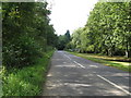 Looking SW on road from Petworth to Balls Cross