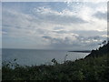 East Devon : Bushes, English Channel & Headland