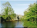 Pevensey Haven in May, East Sussex