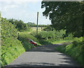 2009 : Bradley Lane near Manor Farm