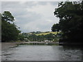 Lerryn Village from the river