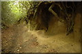 Bridleway to Uley Bury