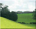 2009 : Pasture near Manor Farm