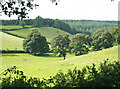 2009 : Small valley off Bradley Lane