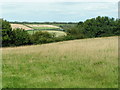 Fields near Underdown, looking north