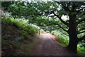 The North Wales Path west of Conwy