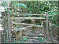 Difficult stile in the woods at Iron Hill