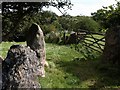 Gateposts near Cranbrook