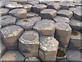 C9444 : Hexagons (mainly) at the Giant's Causeway by David Hawgood