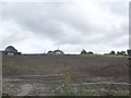 Smallholding off Macclesfield Road