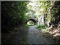 Tunnel, Caledonian and Dunbartonshire Junction Railway