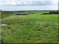 Grassland Near Kestle