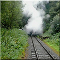 Railway at Cheddleton Heath, Staffordshire