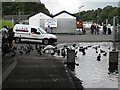 Under Balloch Bridge