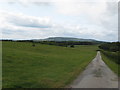 Grazing land on the Petworth Estate