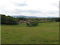 Stagpark Farm Petworth Park