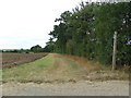 Footpath To Bileston