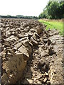 Ploughed Field