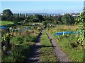 Allotments Off Sir John