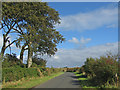 Beech Trees, Torranyard