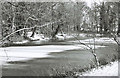 Frozen lake in The Lawn park