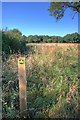 Waymark, Near Trenholme Farm