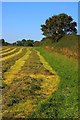 Hay Field, Near Summerfield Farm