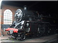 80151 at Sheffield Park engine shed