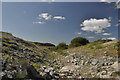 Rocky gully - Rhoose Point