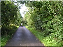 G7453 : Road at Liscally by Kenneth  Allen