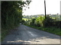 Lane To Adamswood Farm