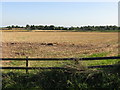 SO6862 : Stubble Fields Near Burton Court by Peter Whatley
