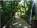 Paignton : Paignton Zoo, Footpath